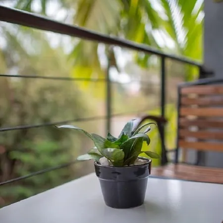 Apsara Greenland Boutique Hotel-3
